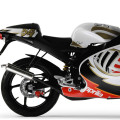 APRILIA RS 50  Manuell Pogialli