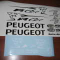 PEUGEOT SPEEDFIGHT 2 rcup