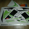 RIEJU RS2 Matrix blackgreen