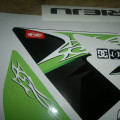 RIEJU RS2 Matrix blackgreen