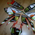 Beta RR 50 2006-10 mons