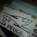 PEUGEOT JET C-TECH  whiteRcup