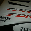 YAMAHA TDR red