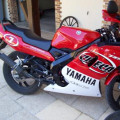 YAMAHA TZR C.CHECA