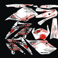 Beta RR 50 2006-10 HAOS