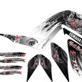 Raptor 700   DEMi                                  2006-12