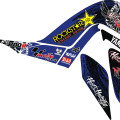 Raptor 700 DEMi blue 2006-12