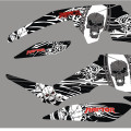 raptor 350 SKL
