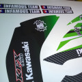 KAWASAKI KFX 450 2006-2012 INDYWIDUAL