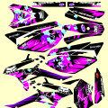 BETA 50 RR 2011-2020 STARPINK