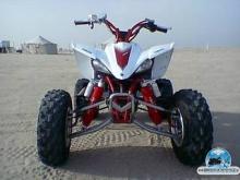 RAPTOR-450