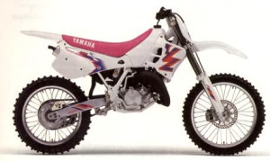 YZ