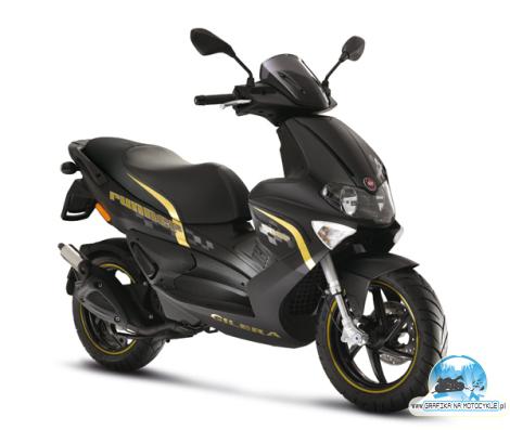 GILERA RUNNER SP50 gold